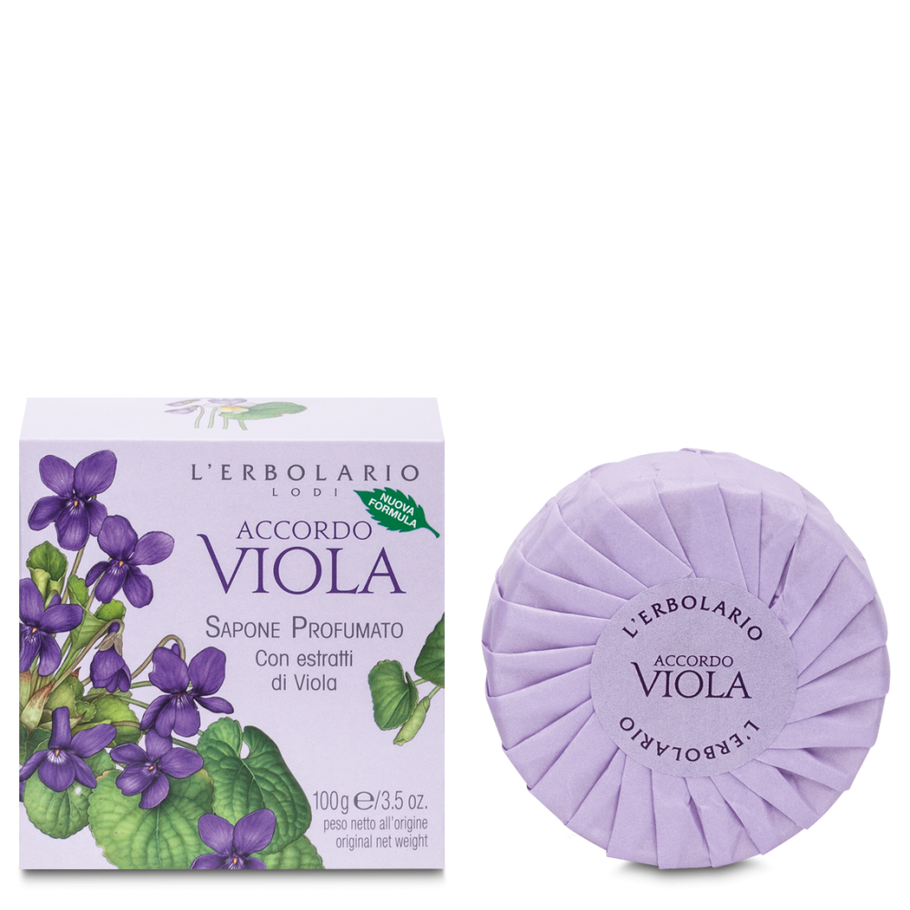 Accordo Viola Sapone 100g