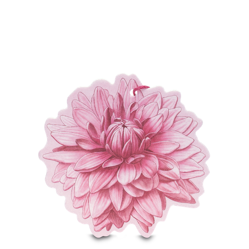 [091.202] Sfumature di Dalia Fiore Profumato Multiuso